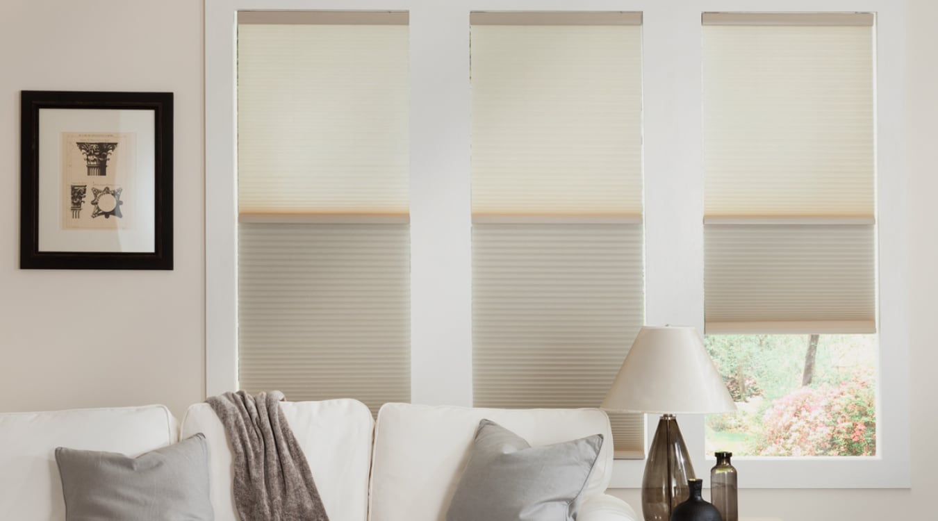 Cellular shades in a Raleigh living room